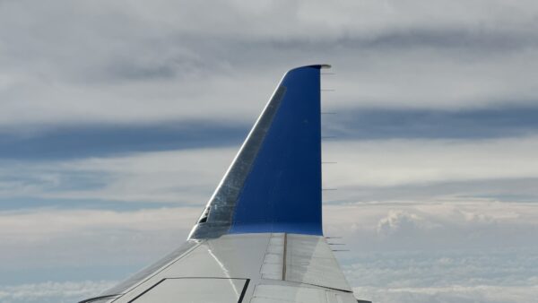Winglet Explained: Meaning, Function and Types