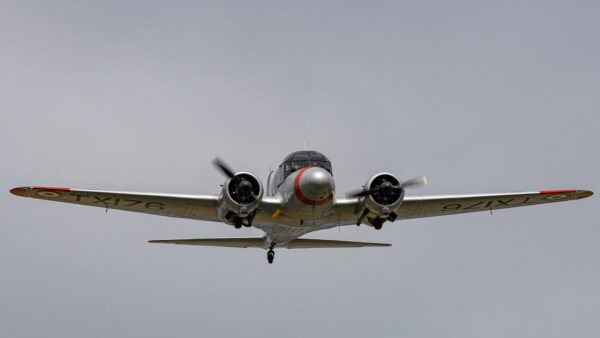 Leading Edge Explained: Wing Anatomy and Airflow Role